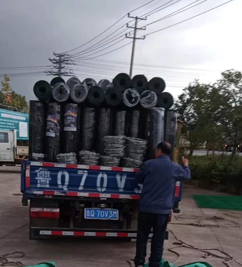 ������300����������