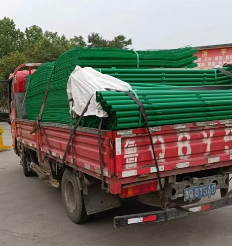 ɽ��������